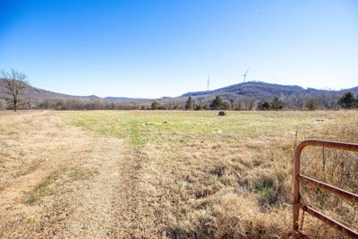 /international/us/62-26-acres-green-forest-ar-110107719409/