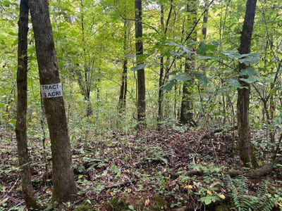 /international/us/001-forest-service-road-116-combs-ar-110108250432/