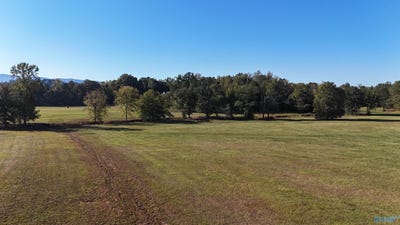 /international/us/421-old-centre-hwy-piedmont-al-110120147806/