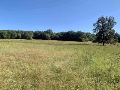 /international/us/0-co-hwy-75-russellville-al-110100616386/