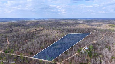 /international/us/14579-crooked-creek-road-lobelville-tn-110106959617/