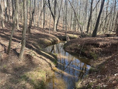 /international/us/555-larmon-forks-road-dahlonega-ga-110120424892/