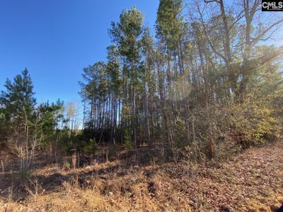 /international/us/606-stacey-bridge-road-north-sc-110120456312/