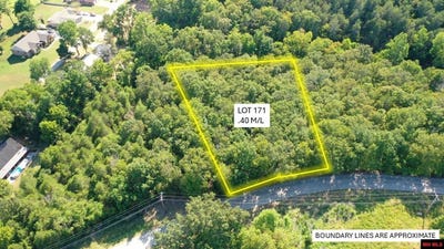 /international/us/rivercliff-drive-lot-171-bull-shoals-ar-110106146701/
