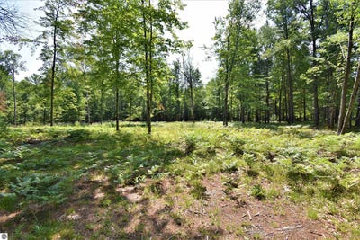 /international/us/n-forest-lake-drive-alger-mi-110092845647/?lang=zh-tw