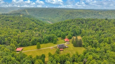 /international/us/51-orange-road-craigsville-wv-110108694481/