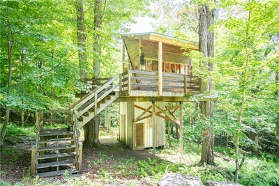 /international/us/martha-lane-bovina-center-ny-110109523716/