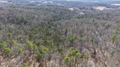 /international/us/120a-campground-road-wideman-ar-110105878748/