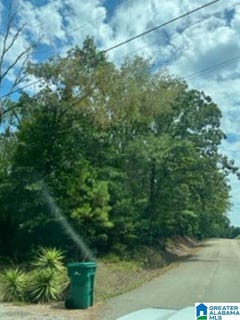 /international/us/0-pleasant-grove-road-vance-al-110079107421/