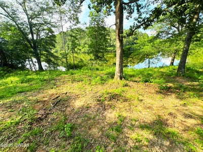 /international/us/6335-lake-hardeman-road-saulsbury-tn-110100424959/