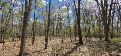 /international/us/skipperene-road-lot-17-14-cochecton-ny-ny-110107786523/