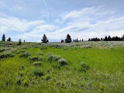 /international/us/127-panorama-drive-white-sulphur-springs-mt-110106977870/