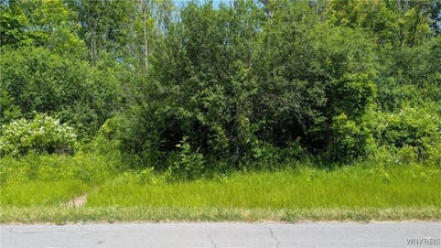/international/us/981-swann-road-youngstown-ny-110100242274/