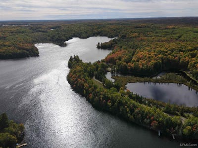 /international/us/chaney-cove-road-lot-8-bessemer-mi-110110236430/