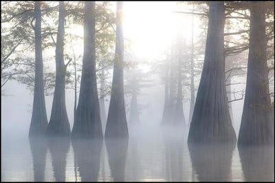 /international/us/000-pecon-grove-road-woodville-ms-110101349608/?lang=zh-cn
