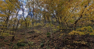 /international/us/middle-run-road-chester-wv-110097637804/
