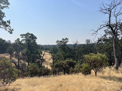 /international/us/17125-quail-ridge-road-cottonwood-ca-110101024034/