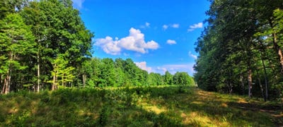 /international/us/000-old-gordon-road-grandview-tn-110100996820/