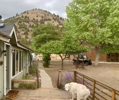 /international/us/750-co-rd-206-e-davis-creek-ca-110102818913/