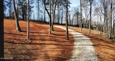 /international/us/969-county-rd-delano-tn-110109630464/