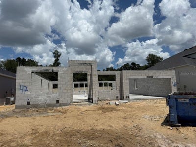 /international/us/497-lady-palm-street-apopka-fl-110101210720/