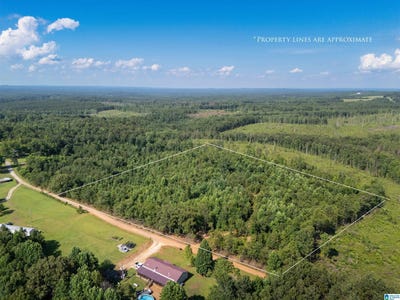 /international/us/584-moncus-road-lot-5-cragford-al-110119379607/