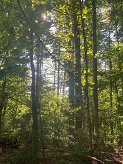 /international/us/lot-35-middle-creek-road-blairsville-ga-110101191015/?lang=id
