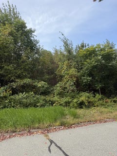 /international/us/140-woodridge-rd-holden-ma-110120019707/