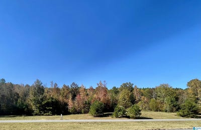 /international/us/lot-3-highway-75-oneonta-al-110100265495/?lang=zh-tw