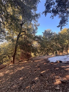 /international/us/0-north-rd-twin-peaks-ca-110098153324/?lang=zh-cn