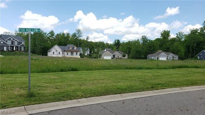 /international/us/10971-fox-hollow-drive-garrettsville-oh-110105017179/