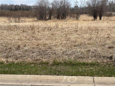 /international/us/lot-10-irvine-avenue-nw-bemidji-mn-110106055963/