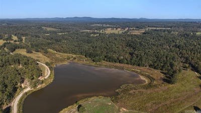 /international/us/ponderosa-trail-bismarck-ar-110120772780/