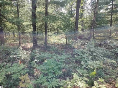 /international/us/lot-186-winterset-drive-alger-mi-110101298485/?lang=zh-tw