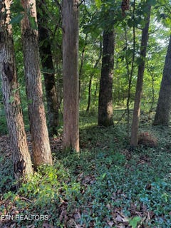 /international/us/lot-8-catoosa-woods-drive-lancing-tn-110100125789/