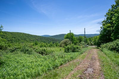 /international/us/1718-doe-brook-rd-hamden-ny-110108738135/