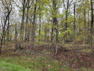 /international/us/lot-30-ivyside-estates-lane-altoona-pa-110088788221/?lang=zh-tw