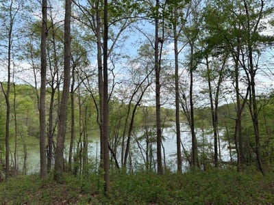 /international/us/438-arrowhead-lake-trail-westminster-sc-110098582257/?lang=zh-tw