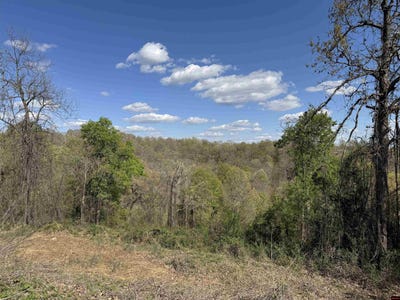 /international/us/001-03460-026-hwy-14-s-lot-rc-176-177-178-harriet-ar-110084614675/
