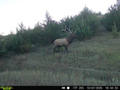 /international/us/tbd-wp1-lower-brule-sd-110105426294/