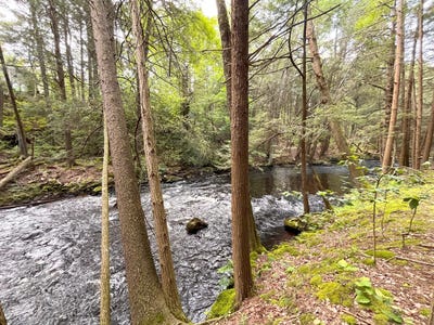 /international/us/0018-riverfront-way-gouldsboro-pa-110095984440/?lang=es