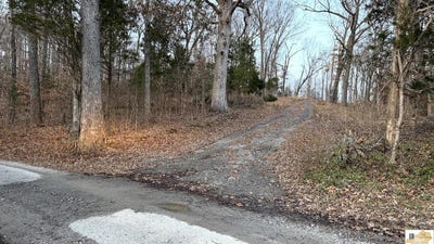 /international/us/hornback-lane-caneyville-ky-110105884798/