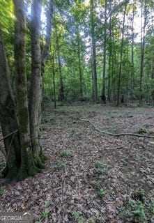 /international/us/4-2-acres-river-ellenwood-ga-110101305671/?lang=zh-cn