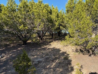 /international/us/caprock-court-lot-599-possum-kingdom-lake-tx-110104082659/