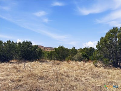 /international/us/private-road-lot-8-evant-tx-110105870055/