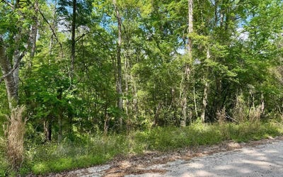 /international/us/lt112-246th-trail-obrien-fl-110107006925/