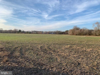 /international/us/lot-1-clark-canning-house-road-federalsburg-md-110097867632/?lang=zh-cn