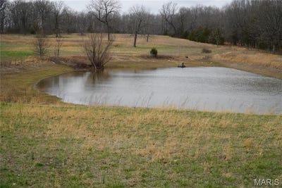 /international/us/18143-oasis-drive-phillipsburg-mo-110106277405/