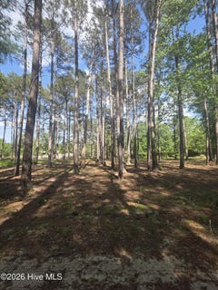 /international/us/juniper-lane-lot-46-currie-nc-110107551965/