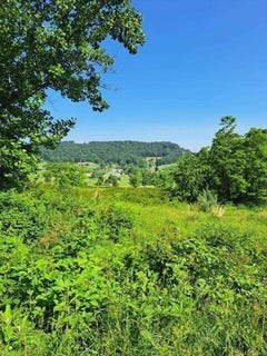 /international/us/fairway-view-drive-peterstown-wv-110106550910/